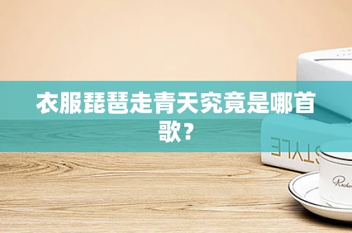 衣服琵琶走青天究竟是哪首歌？