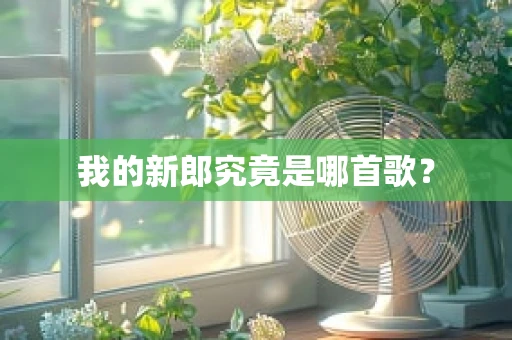 我的新郎究竟是哪首歌？