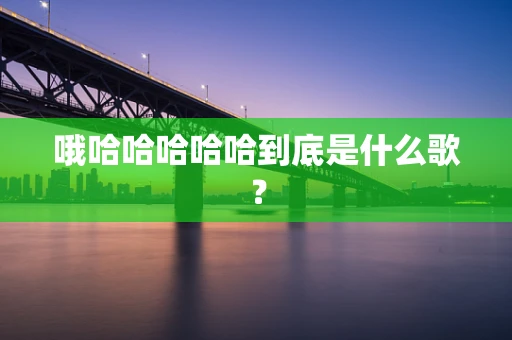 哦哈哈哈哈哈到底是什么歌？