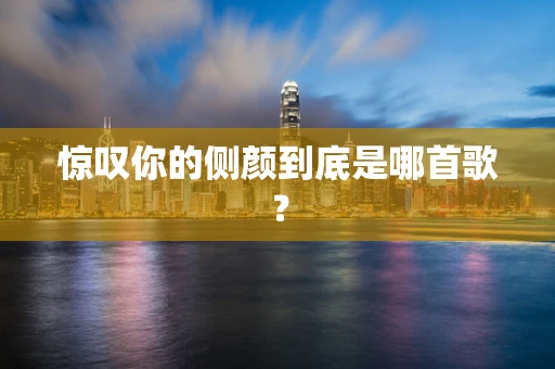 惊叹你的侧颜到底是哪首歌？