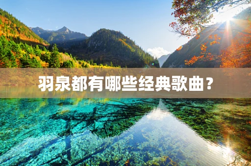羽泉都有哪些经典歌曲？