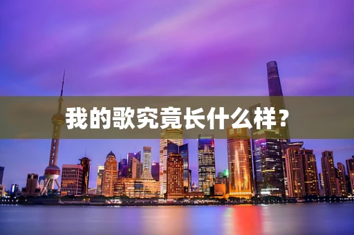 我的歌究竟长什么样？