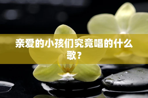 亲爱的小孩们究竟唱的什么歌？