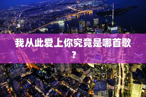 我从此爱上你究竟是哪首歌？