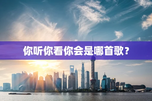 你听你看你会是哪首歌？