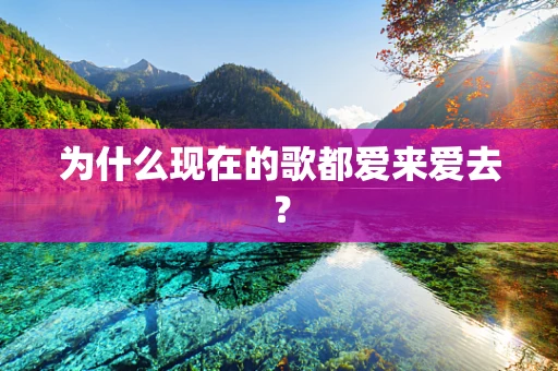 为什么现在的歌都爱来爱去？