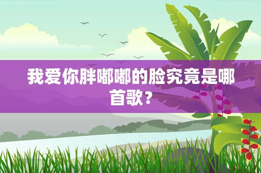 我爱你胖嘟嘟的脸究竟是哪首歌？
