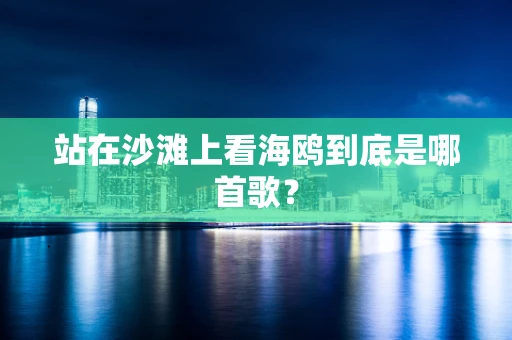 站在沙滩上看海鸥到底是哪首歌？