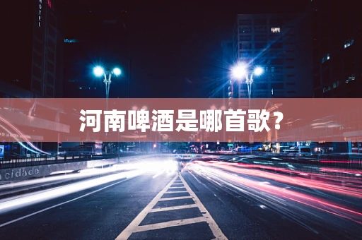 河南啤酒是哪首歌？