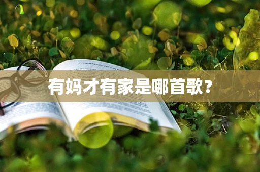 有妈才有家是哪首歌？