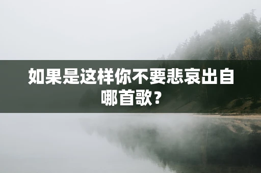 如果是这样你不要悲哀出自哪首歌？