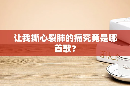 让我撕心裂肺的痛究竟是哪首歌？