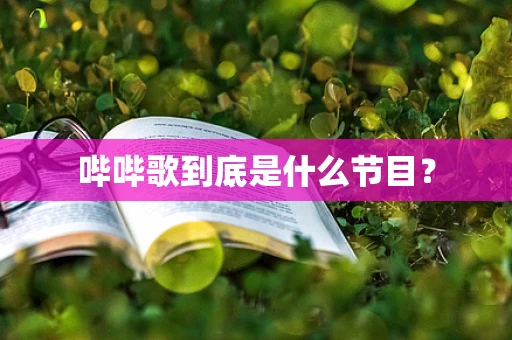 哔哔歌到底是什么节目？