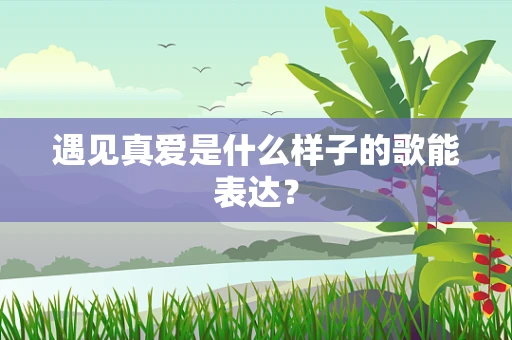 遇见真爱是什么样子的歌能表达？