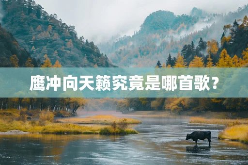 鹰冲向天籁究竟是哪首歌？