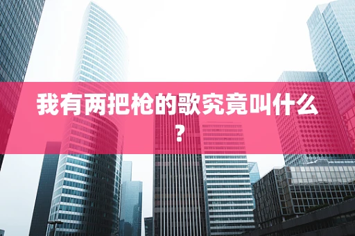 我有两把枪的歌究竟叫什么？