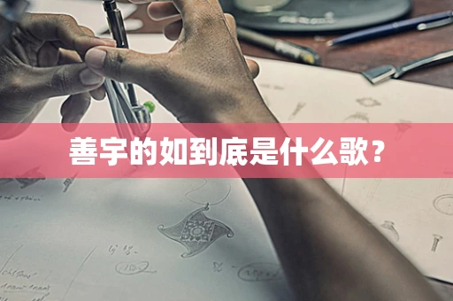 善宇的如到底是什么歌？