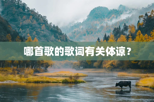 哪首歌的歌词有关体谅？