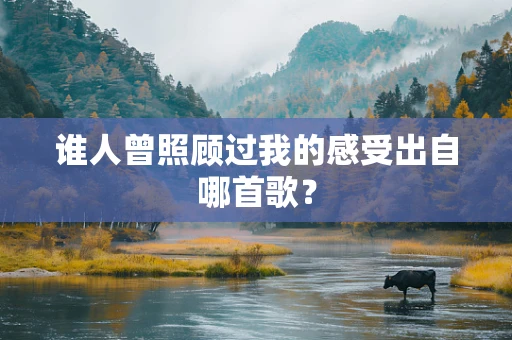 谁人曾照顾过我的感受出自哪首歌？