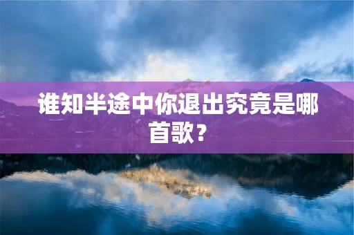 谁知半途中你退出究竟是哪首歌？