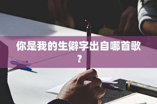 你是我的生僻字出自哪首歌？