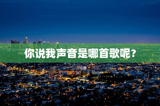 你说我声音是哪首歌呢？