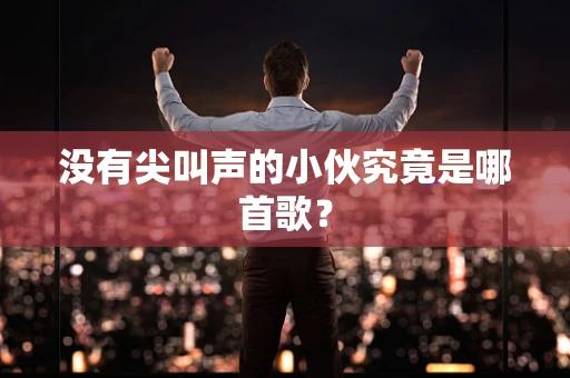 没有尖叫声的小伙究竟是哪首歌？