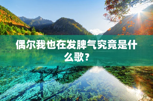 偶尔我也在发脾气究竟是什么歌？