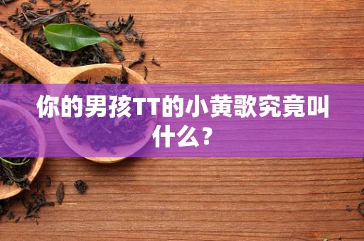 你的男孩TT的小黄歌究竟叫什么？