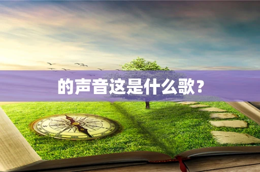 的声音这是什么歌？