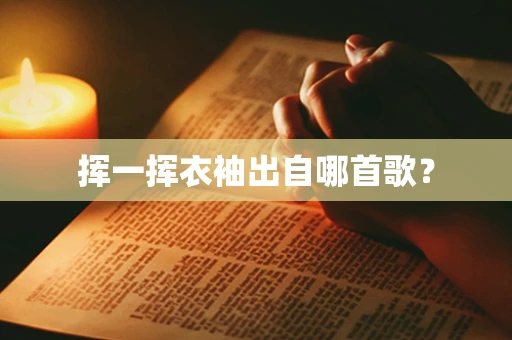 挥一挥衣袖出自哪首歌？