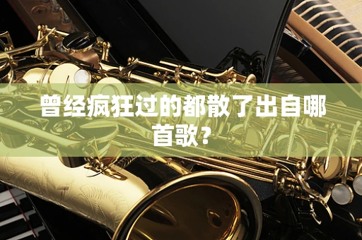 曾经疯狂过的都散了出自哪首歌？