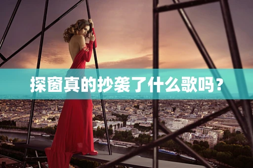 探窗真的抄袭了什么歌吗？
