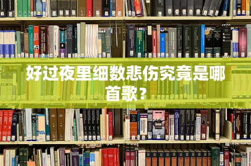 好过夜里细数悲伤究竟是哪首歌？