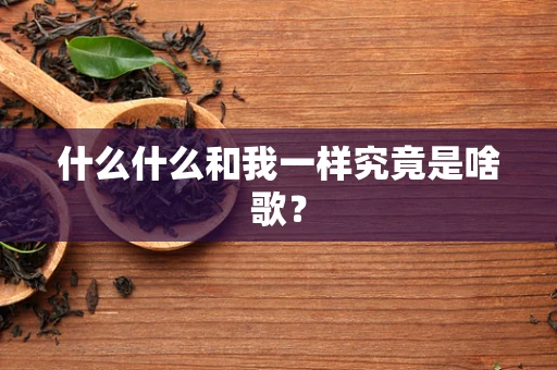 什么什么和我一样究竟是啥歌？
