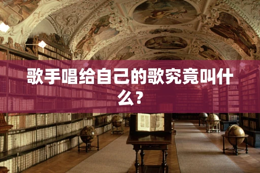 歌手唱给自己的歌究竟叫什么？
