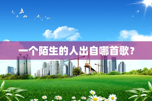 一个陌生的人出自哪首歌？