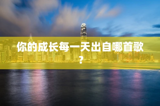 你的成长每一天出自哪首歌？