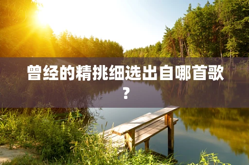 曾经的精挑细选出自哪首歌？