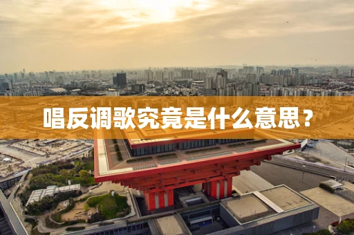 唱反调歌究竟是什么意思？