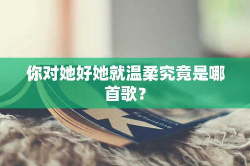 你对她好她就温柔究竟是哪首歌？