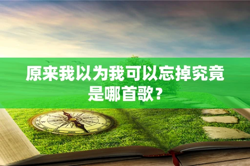原来我以为我可以忘掉究竟是哪首歌？