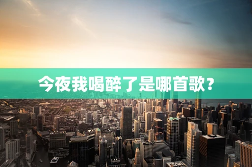 今夜我喝醉了是哪首歌？