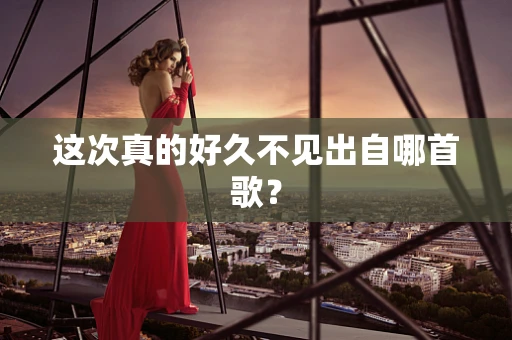 这次真的好久不见出自哪首歌？