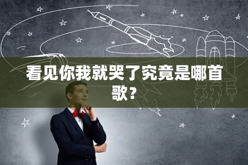 看见你我就哭了究竟是哪首歌？