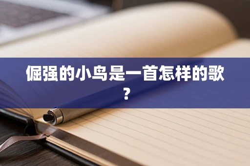 倔强的小鸟是一首怎样的歌？