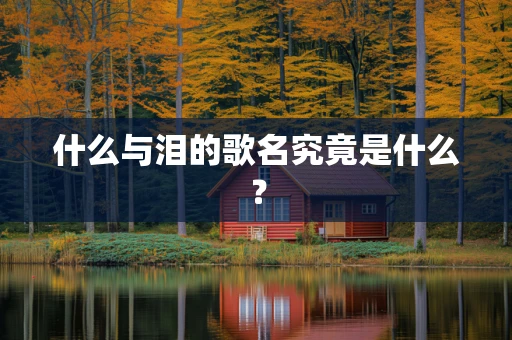 什么与泪的歌名究竟是什么？