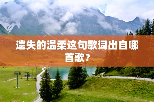 遗失的温柔这句歌词出自哪首歌？