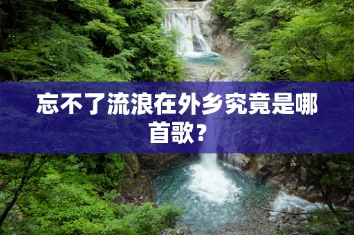 忘不了流浪在外乡究竟是哪首歌？