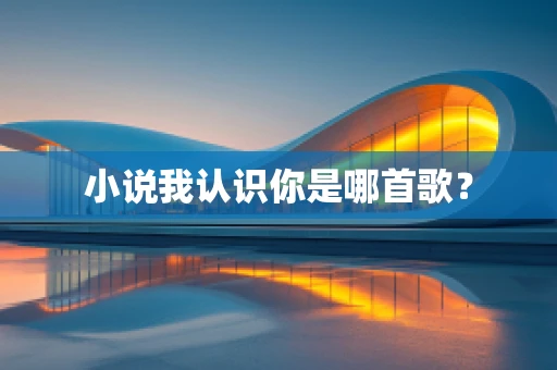 小说我认识你是哪首歌？